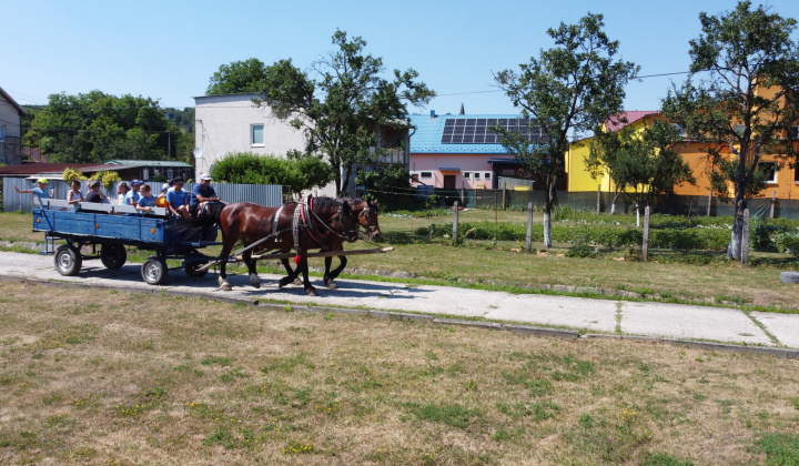 Zobraziť fotografiu